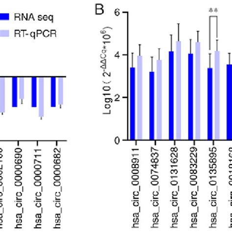 Rt Qpcr Validation A Relative Fold Changes Of Circrnas Detected By