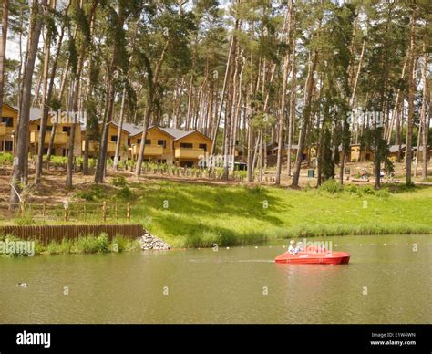 Center Parcs In Woburn Wald Stockfotografie Alamy