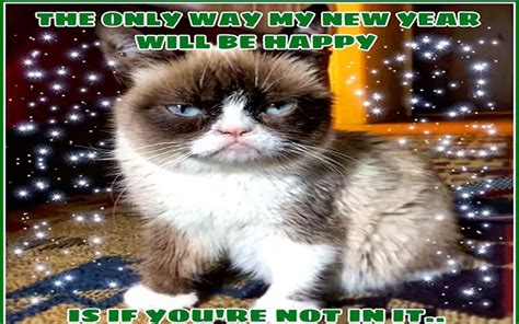 Best Grumpy Cat New Years Meme 2024 - QuotesProject.Com