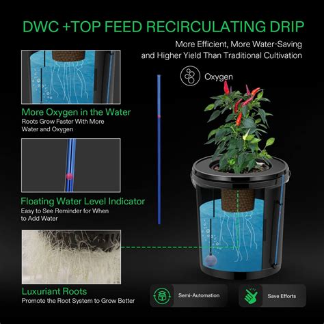 Vivosun Dwc Sistema De Cultivo Hidrop Nico Cultivo De Agua Profunda