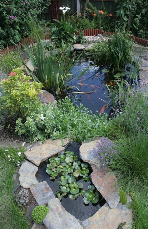Ponds and water features – Artofit 