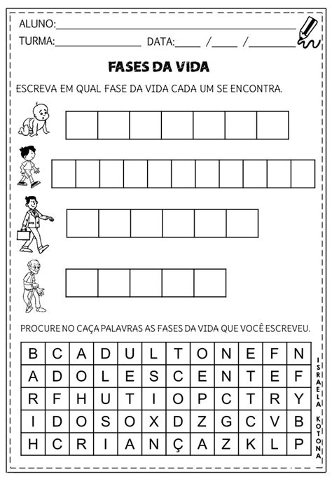 Ciclo Da Vida Atividades Escolares