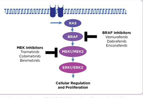 Figure 1 From Encorafenib And Binimetinib Combination Therapy In