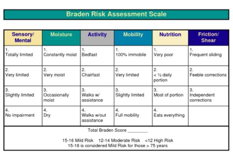 Braden Scale Score Chart A Visual Reference Of Charts Chart Master