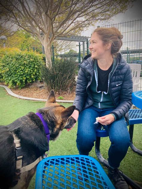 Callie's Next Chapter - Humane Society Silicon Valley