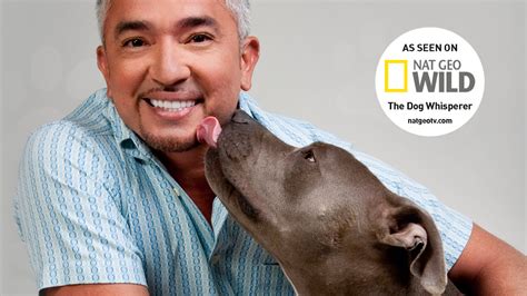 Cesar's Rules by Cesar Millan - Books - Hachette Australia