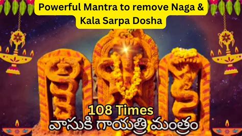 Vasuki Gayatri Mantra Times Chanting For Naga And Kala Sarpa Dosha