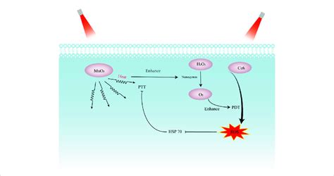 Schematic Presentation Showing The Synergistic Effect Of Nanozymes In