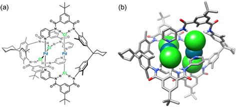 Whither Second Sphere Coordination Ccs Chem