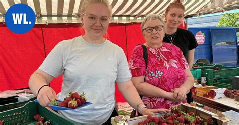 Jos haluaa ostaa mansikat pakkaseen kannattaa tulla hyvissä ajoin