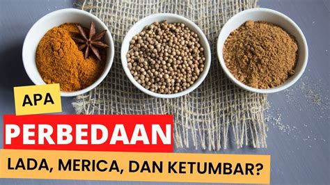 Apa Perbedaan Lada Merica Dan Ketumbar Youtube