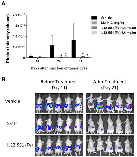 A Treatment Of Week Old Female Athymic Nude Mice With Il Ss Fv