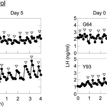 Representative Profiles Of Pulsatile Lh Secretion On Day And Day In