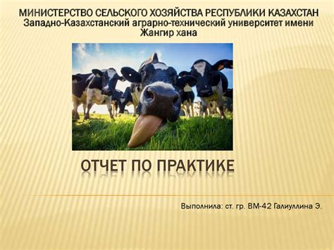 Общая характеристика ветеринарной станции - презентация онлайн