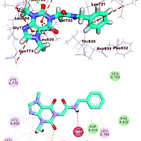 D And D Binding Mode Of Erlotinib Into The Active Site Of Egfr Wt