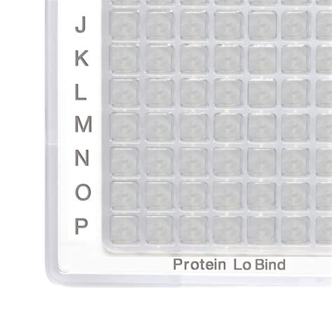 Eppendorf Protein Lobind Deepwell Plates No Of Wells Well