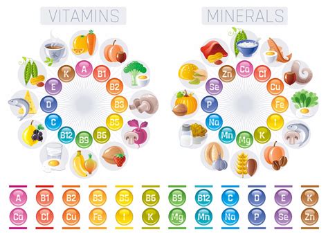 Natural Sources of Vitamins and Minerals - SCALAR LIGHT