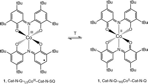 Computational Insight Into Magnetic Behavior And Properties Of The