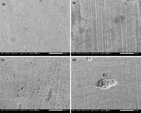 SEM Micrographs Of Specimens Corroded In Presence Of 25 Ppm Of