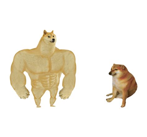 Swole Doge vs. Cheems Transparent Template Funny Reaction Pictures, Meme Pictures, Cute Memes ...