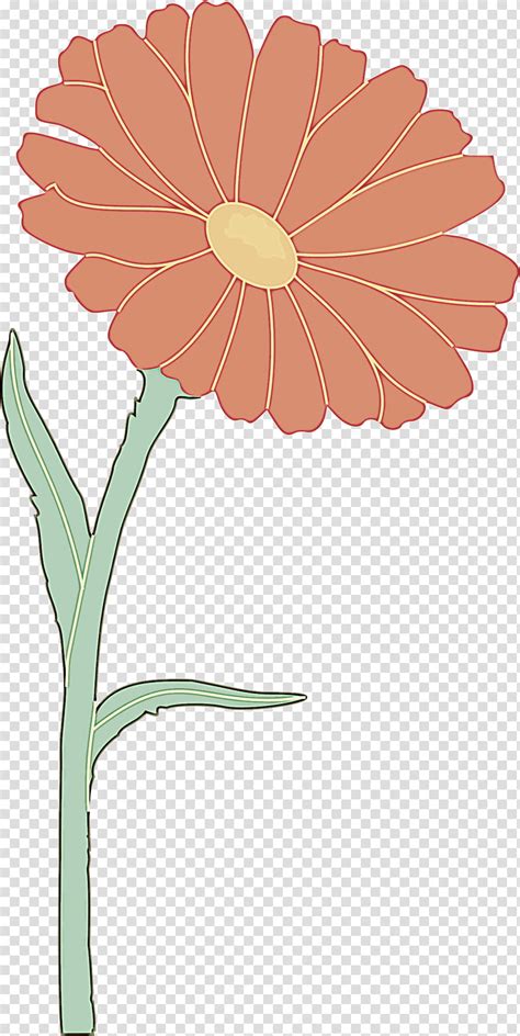 Barberton Daisy Flower Gerbera Plant Flowering Plant Petal Plant Stem