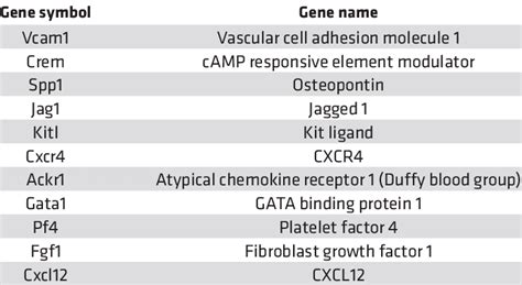 Hematopoietic niche-related genes assayed | Download Scientific Diagram