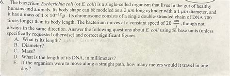 Solved The bacterium Escherichia coli ( ﻿or E. ﻿coli) ﻿is a | Chegg.com 