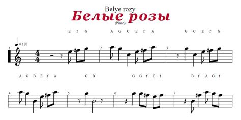 Белые Розы | Табы для пианино - Видео Песни Клипы
