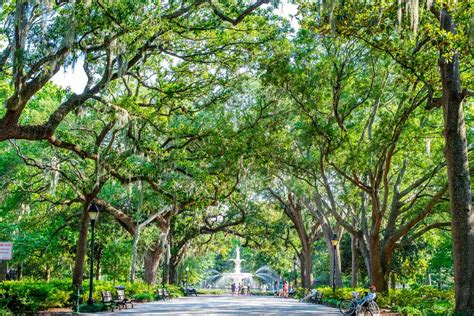 The Best Time To Visit Savannah, Georgia