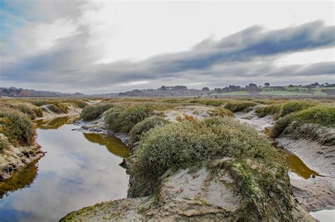 Saltmarshestuarycoastalmudwater Free Image From