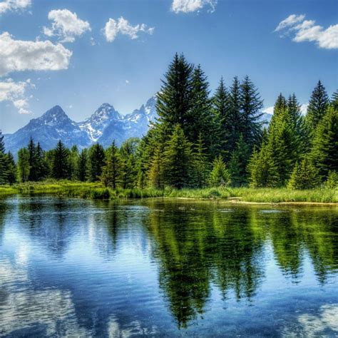 Trees Reflected In The Lake Wallpapers Wallpaper Cave