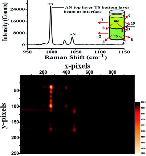 Challenges In Application Of Raman Spectroscopy To Biology And Materials Rsc Advances Rsc