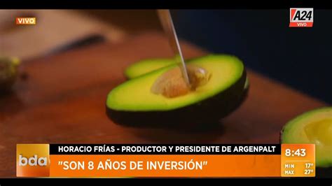 El Precio De La Palta Por Las Nubes I A24 YouTube