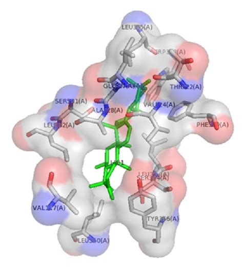 2D And 3D Model Of Compound 1 In The Binding Site Of COX 1 A And