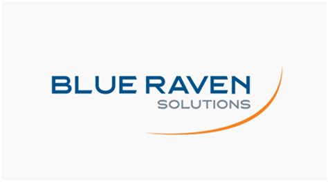 Triman Holdings Re-Brands as Blue Raven Solutions - Blue Raven Solutions