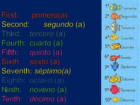 Ordinal Numbers In English