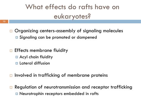 PPT Three Decades Of Questions On Lipid Rafts PowerPoint Presentation