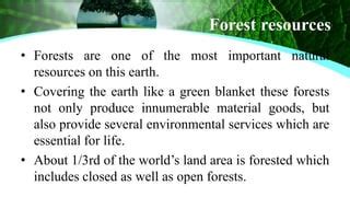 Forest resources | PPT