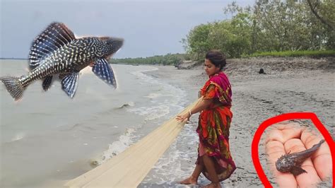 নদীতে একটা অদ্ভুত মাছের দেখা পেলাম । Sundarban River Youtube