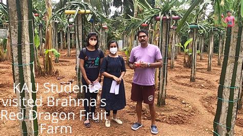 Kau Students Visited Brahmas Red Dragon Fruit Farm Youtube