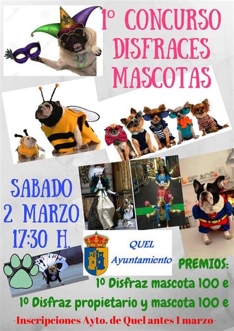 Un Concurso De Disfraces De Mascotas Novedad Del Carnaval En Quel