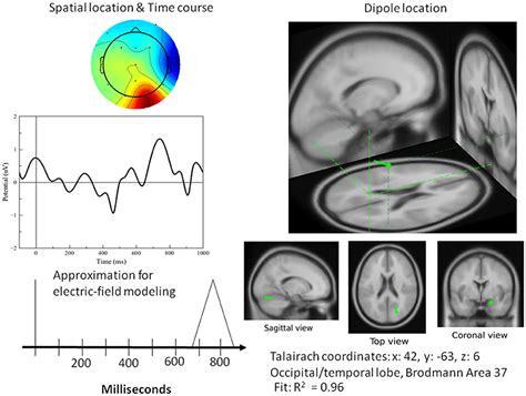 Frontiers Retooling Computational Techniques For Eeg Based