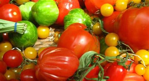 Tomato Season The Perfect Time Of Year To Grow Your Tomatoes