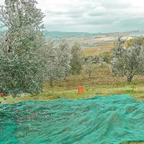 Rete Antispina Per Raccolta Olive 85 Gr Mq Teli Di Varie Dimensioni