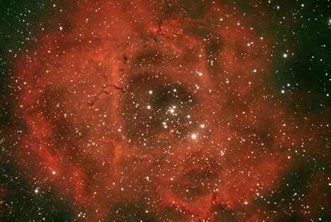 Ngc 2244 The Rosette Nebula By Carl Rainer