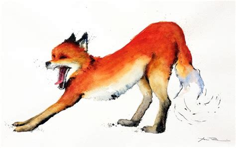 Fox Strech By Nancy Antoni Halfhare Moose Art Pen And Watercolor Art