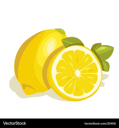 Lemon Royalty Free Vector Image VectorStock