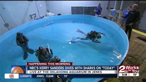 NBC S Kerry Sanders Dives With Oklahoma Aquarium Bull Sharks YouTube