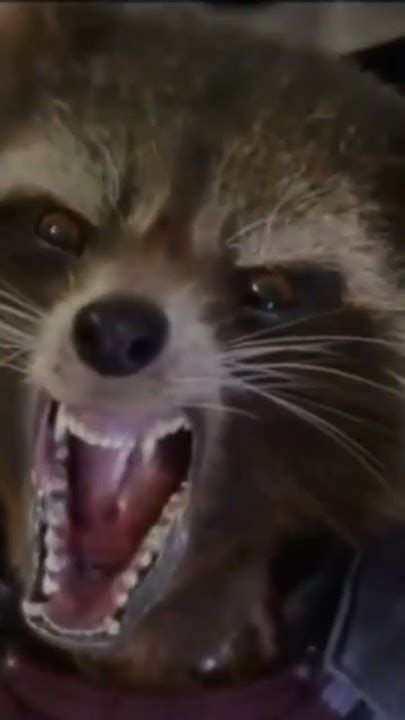 Rocket Raccoon Scream Fight Youtube