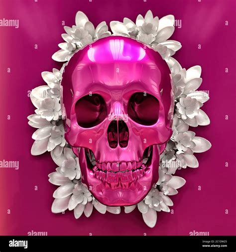 Human Skull Art Image Stock Photo - Alamy